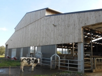 14.Joubieval-etable-vaches-laitieres04_1024