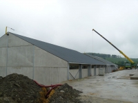 17.Niederwampach-poulailler-poules-pondeuses02_1024