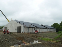 17.Niederwampach-poulailler-poules-pondeuses04_1024